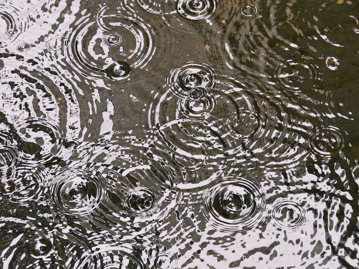 Gotas de lluvia sobre el agua