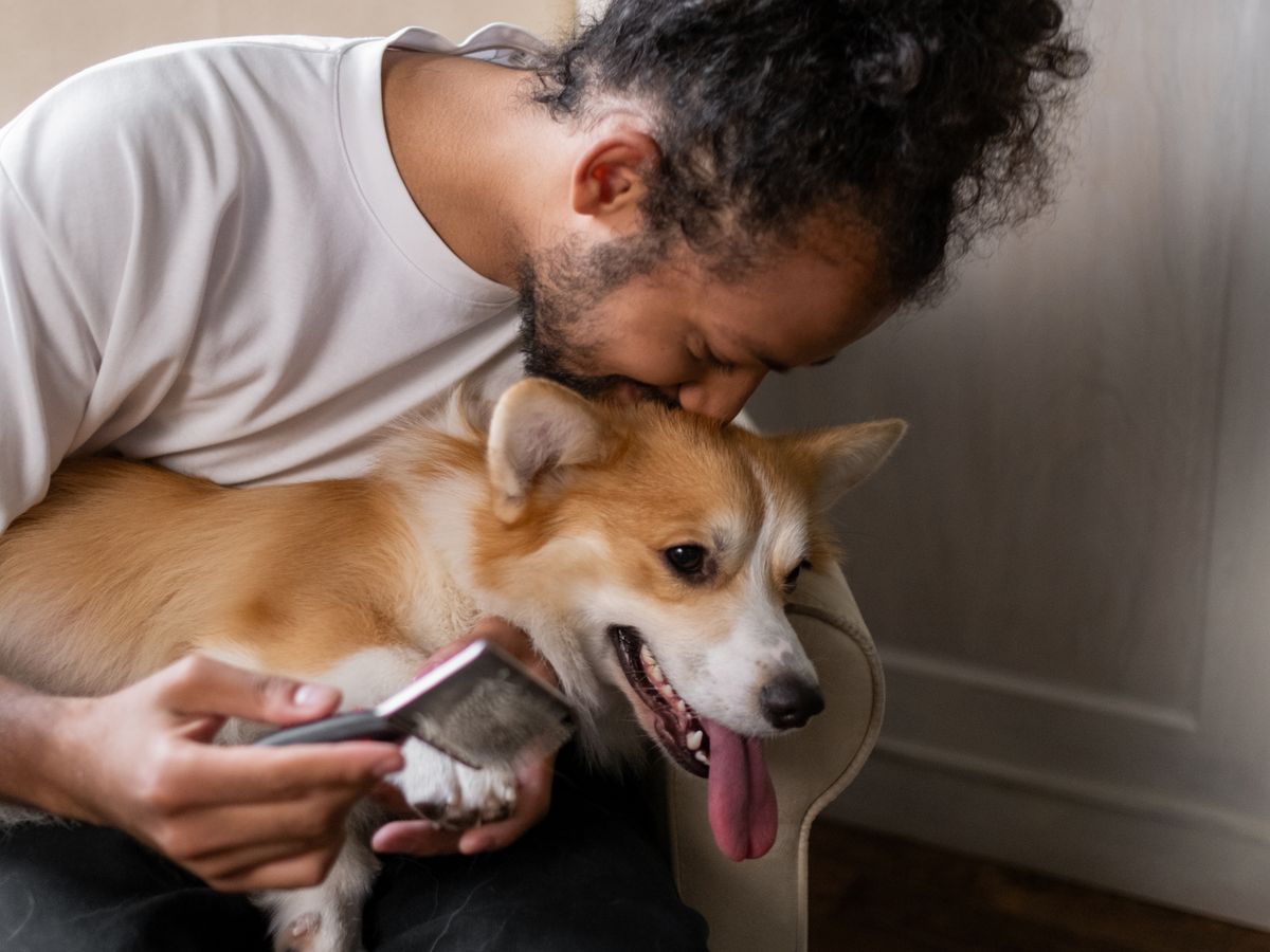 Persona revisando en el celular la ubicación de su perro